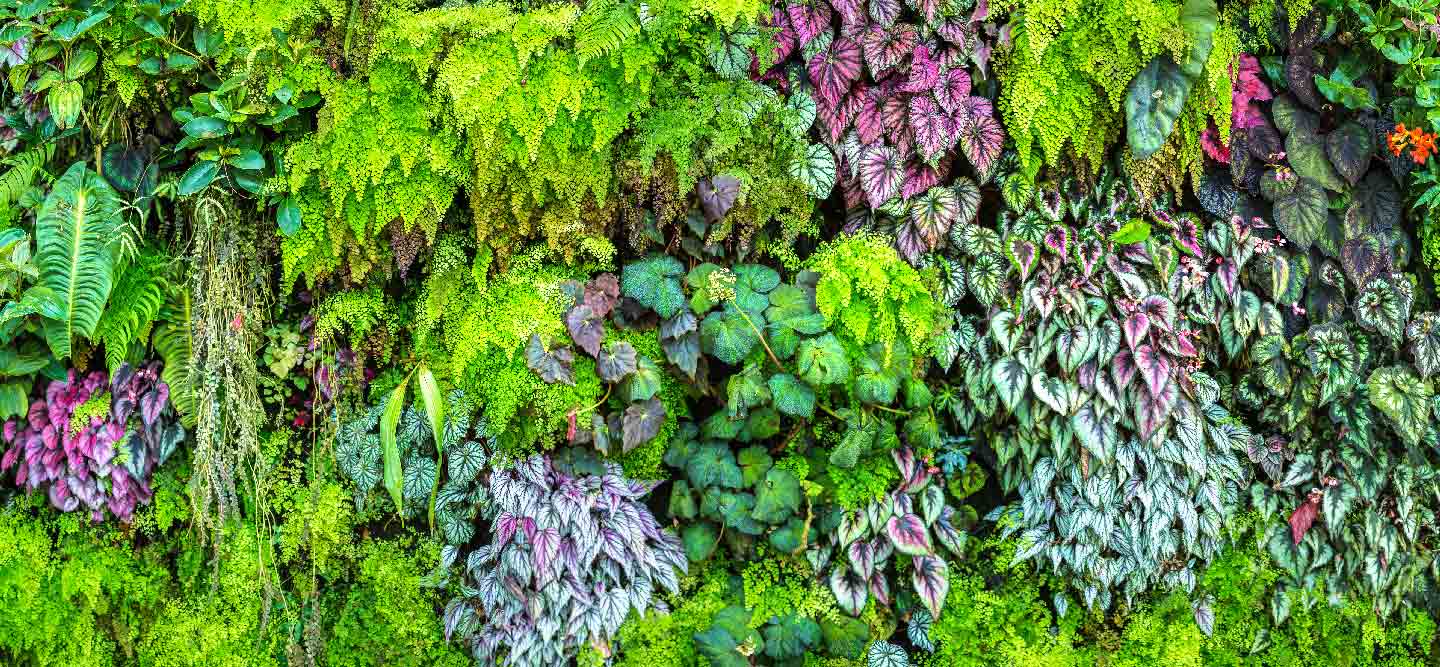 Accueil Vert Botté, jardinier paysagiste à Toulouse et Cugnaux