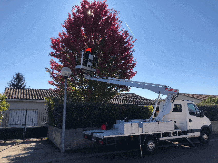 élagage grand arbre nacelle toulouse